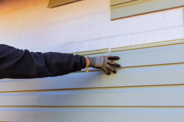 Best Siding for New Construction  in Cotter, AR